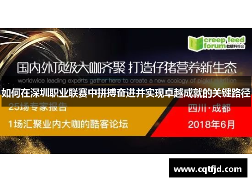如何在深圳职业联赛中拼搏奋进并实现卓越成就的关键路径