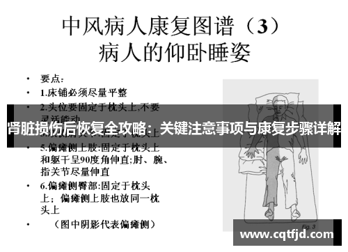 肾脏损伤后恢复全攻略：关键注意事项与康复步骤详解